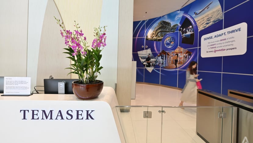 Temasek aims to more than double AI investment portfolio share to as much as 15% by 2031