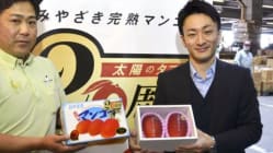 Related article image