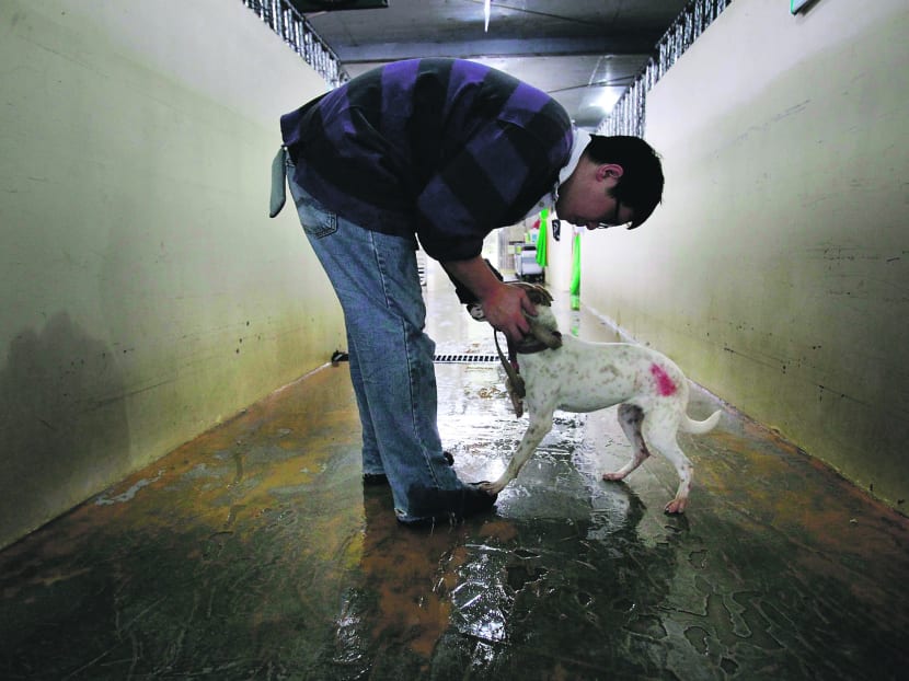 AP file photo