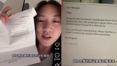 Woman Fined S$200 For Bringing Durians Into Hotel Room, Says She Didn’t Know Durians Weren’t Allowed In Hotel