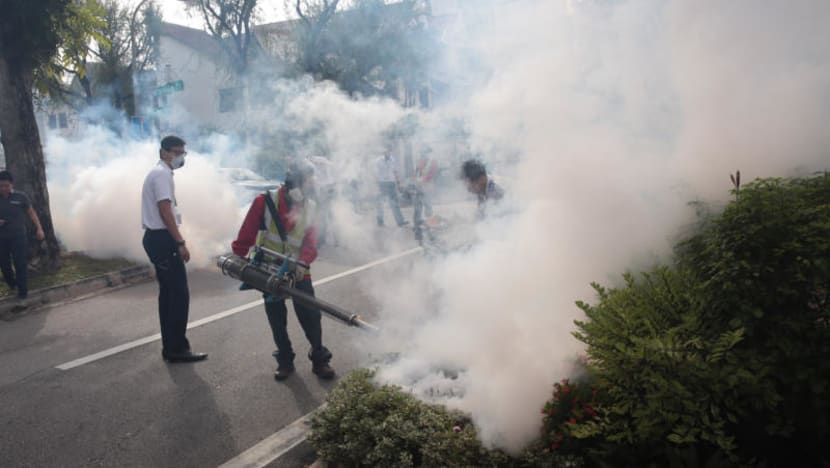 New Zika cluster identified at Highland Road/Jansen Close
