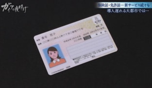 Japan Hour - Gaia Series 99: Myna Card Rhapsody!
