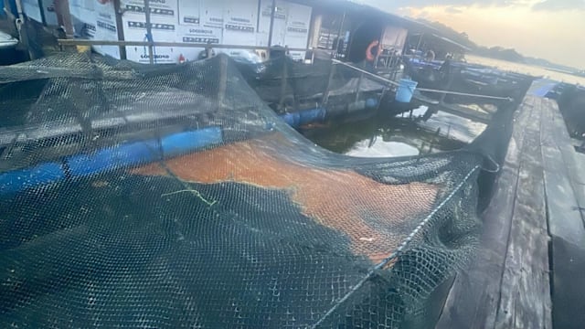 东柔佛海峡出现油污 至少三家鱼场受影响