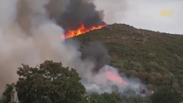 欧洲南部遭热浪袭击 引发数十场野火至少三人死亡