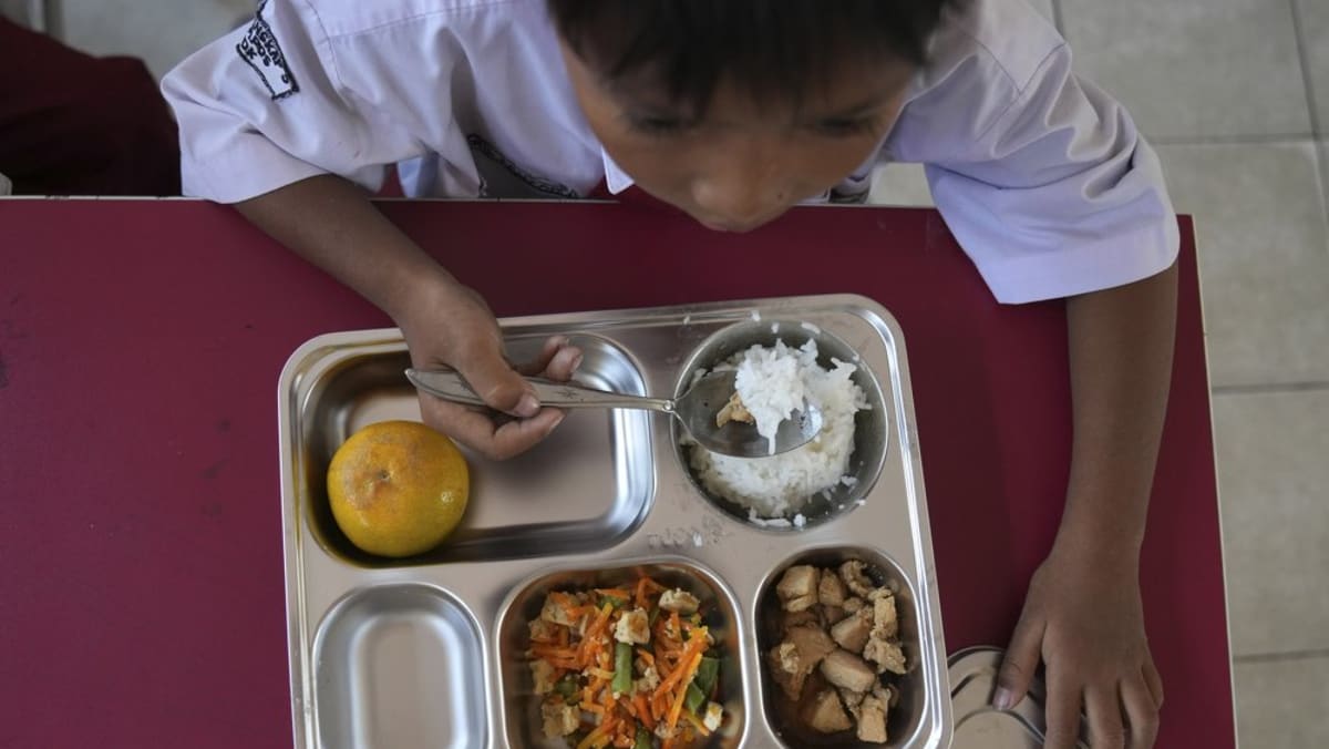 Indonesia launches free meals programme to feed children and pregnant women to fight stunting Indonesia launches free meals programme to feed children and pregnant women to fight stunting