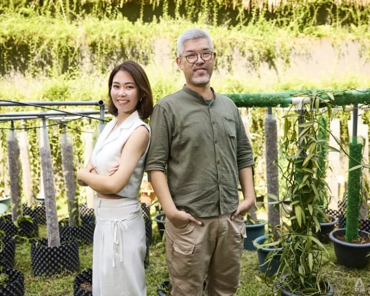 How these vanilla farmers in Singapore took their plants from HDB corridors to luxury hotels