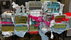 Related article image