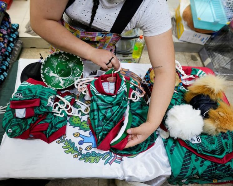In Mexico, World Cup jerseys fit all shapes, sizes - and species