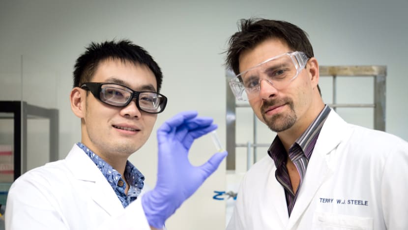 NTU scientists create electrically charged glue that works underwater