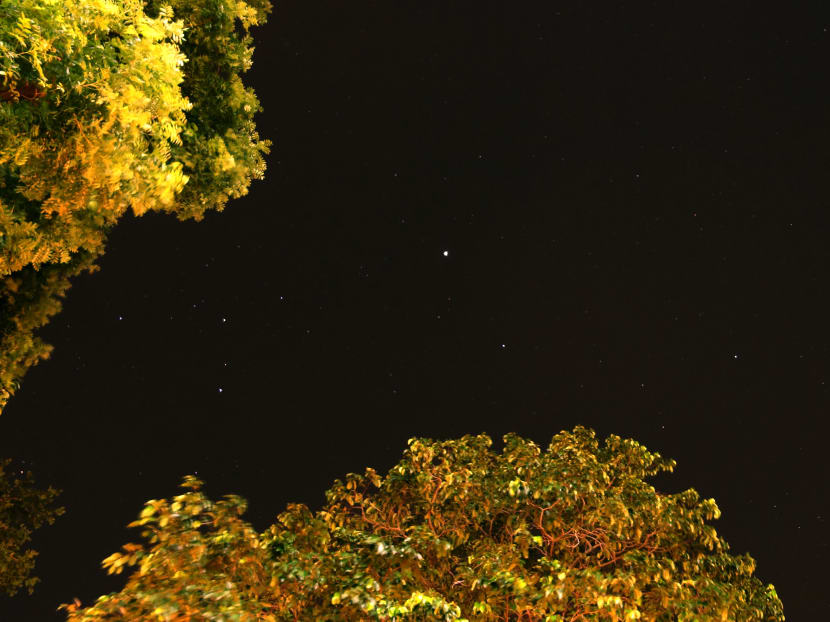 S’pore alternative nightlife: Stargazing galore S’pore alternative nightlife: Stargazing galore