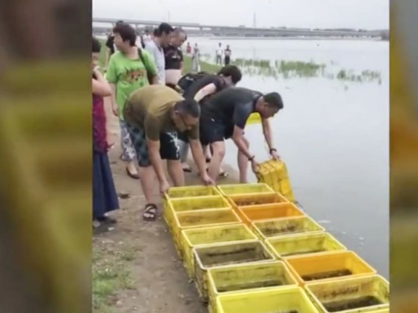 Thousands of tiny fish released into a lake in northeastern China were recaptured just moments later as locals scooped them up, presumably to make a free lunch.