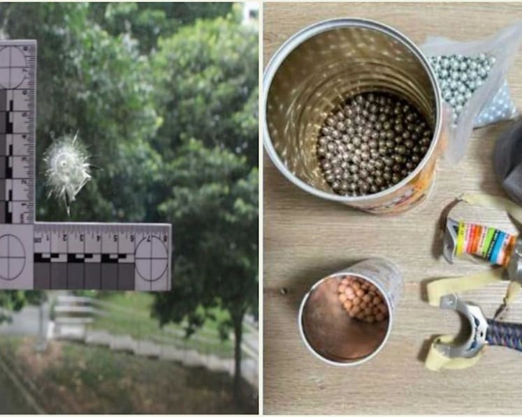 Man to be charged after allegedly shooting pellets at birds, damaging Jurong West flat window
