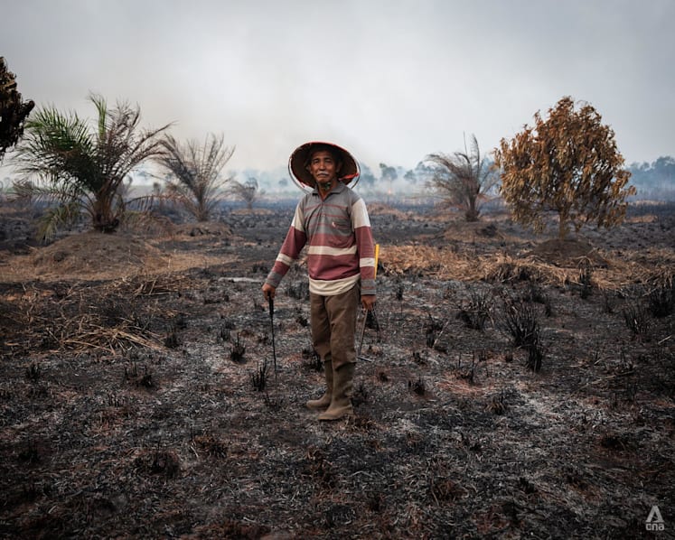 Cheap to burn, costly to bear: What fuels Indonesia’s persistent cycle of fires and haze? Cheap to burn, costly to bear: What fuels Indonesia’s persistent cycle of fires and haze?