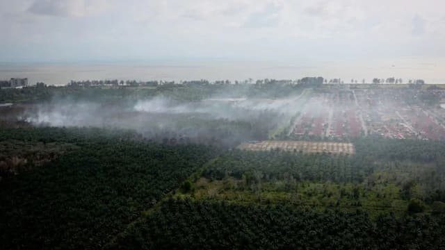 柔佛消拯局称边佳兰林火所引发烟霾 并未飘入新加坡领空