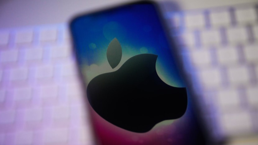 Apple users urged to update devices to fix 'critical' security flaw: SingCert