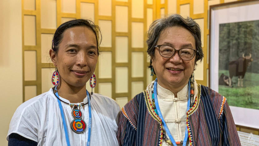 From Philippines to COP26: Mother and daughter unite to fight for Indigenous people’s climate change rights