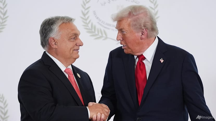 Hungary to ensure Putin can enter country for Trump meeting in Budapest Hungary to ensure Putin can enter country for Trump meeting in Budapest
