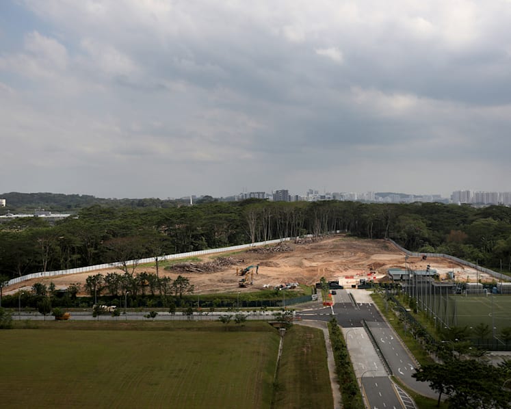 Explainer: The history of the cleared Kranji woodlands, and what could be found there