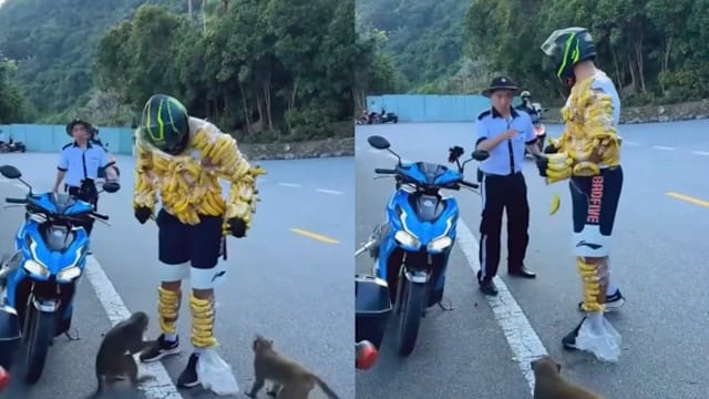 将香蕉绑身上戏弄野生猴群 岘港游客做法引争议