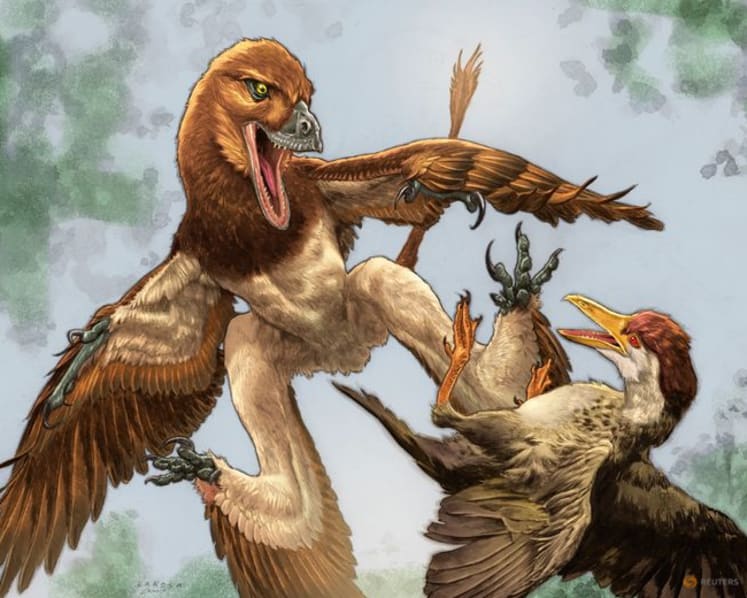Chinese Velociraptor cousin had a taste for birds