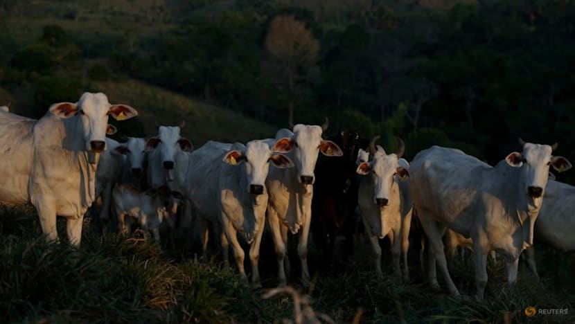 Japan schedules sanitary audit on Brazilian beef for March 2026, Brazil says