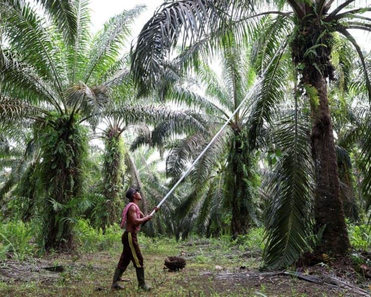 Indonesia fleshes out plan to strengthen state control over commodity imports