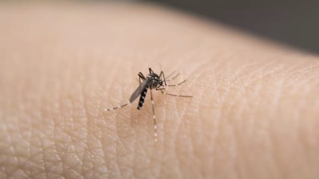 Screenshot 2025-12-28 at 5.20.05 pm