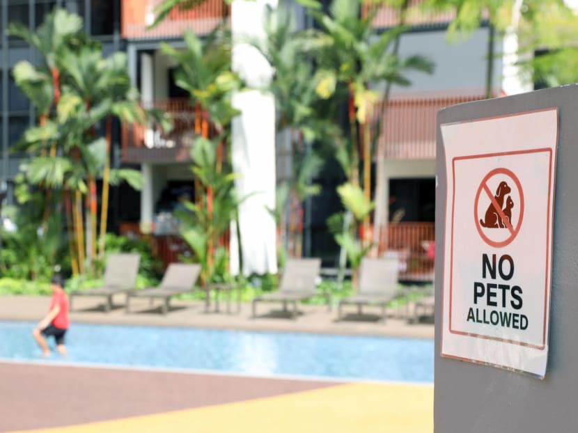 At Riverfront Residences, a condominium in Hougang, dogs are not allowed on the ground floor. A notice put out by the condominium’s council stated that the move was due to dogs urinating and defecating on level one, which caused damage to the grass turf and “inconvenience” to other residents. At Riverfront Residences, a condominium in Hougang, dogs are not allowed on the ground floor. A notice put out by the condominium’s council stated that the move was due to dogs urinating and defecating on level one, which caused damage to the grass turf and “inconvenience” to other residents.