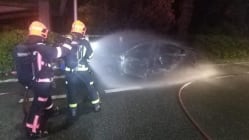 Related article image