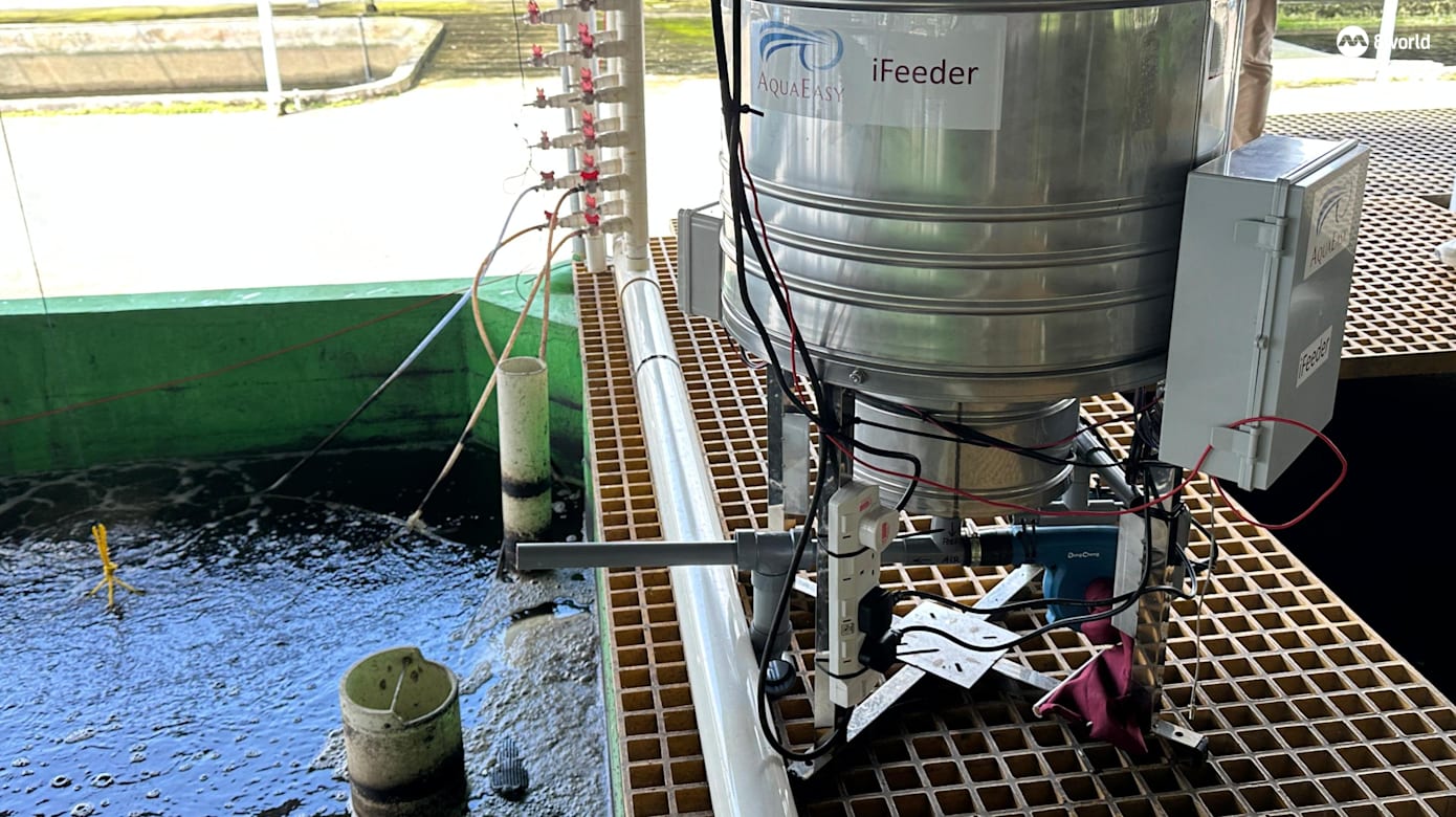 这款自动喂食器能够通过推算迎合虾只需求进行较为科学的喂食，改变以往养殖户“定时定量”或是凭经验喂食的方法，精准投喂。（图：梁居磊）
