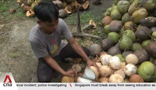 Maintaining global competitiveness a key talking point at World Coconut Congress in Manila