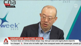 Maritime trade will endure despite geopolitical challenges: Shipping executive