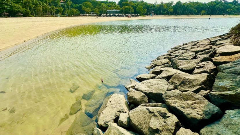 Oil spill clean-up completed ahead of schedule, more than 2 months after incident affected Sentosa, other beaches Oil spill clean-up completed ahead of schedule, more than 2 months after incident affected Sentosa, other beaches