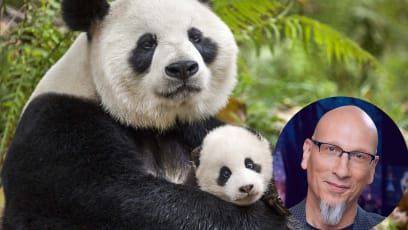 An Oscar-winning Producer Reveals The Differences Between Working With Animated Characters and Animals In The Wild