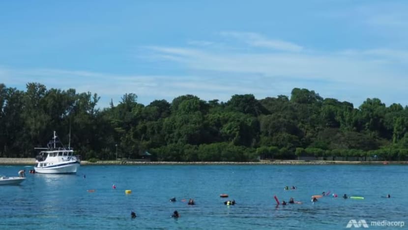 Lelaki mengaku berbasikal dalam keadaan bogel di Pulau Sekijang Pelepah, tunjuk kemaluan di NTU, NUS
