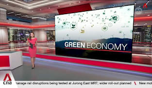 Nature-based carbon credits: Singapore to secure first carbon credits from 4 overseas projects 