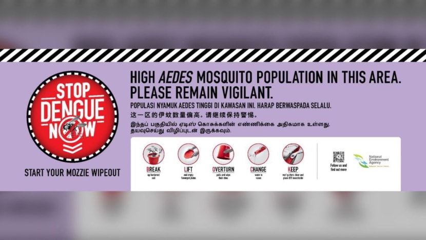 Dengue cases rising sharply in Singapore, 'urgent collective community effort' needed to fight surge: NEA Dengue cases rising sharply in Singapore, 'urgent collective community effort' needed to fight surge: NEA