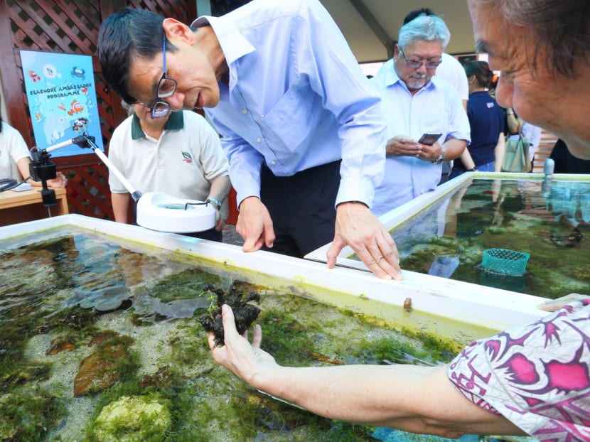 Sisters’ Island Park Public Gallery opens