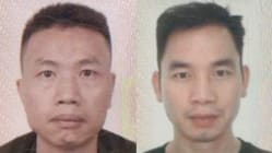 Related article image