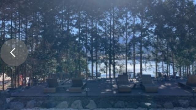 为了看到富士山 中资酒店被指擅自砍掉邻居柏树