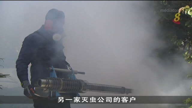 骨痛热症病例大增 灭蚊服务需求增加35%