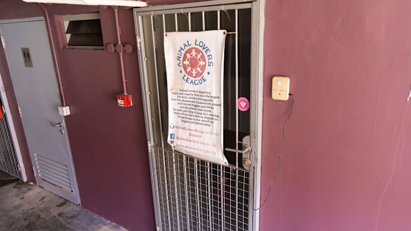 Commissioner of Charities opens inquiry into animal shelter Animal Lovers League