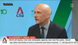 Crucial how quickly we can build up clean energy economy: IEA