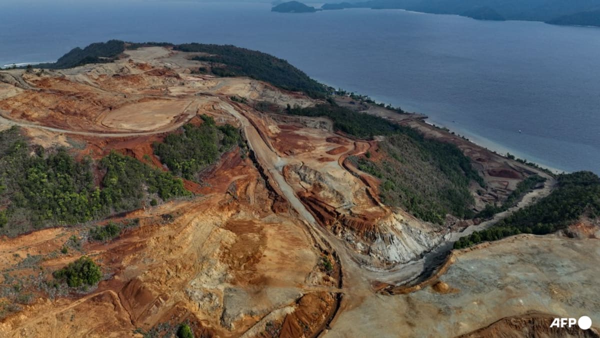 Indonesia deforestation rises for third year running: NGO