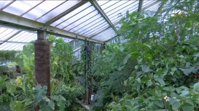气温上升和降雨变化 或使数万植物物种完全消失