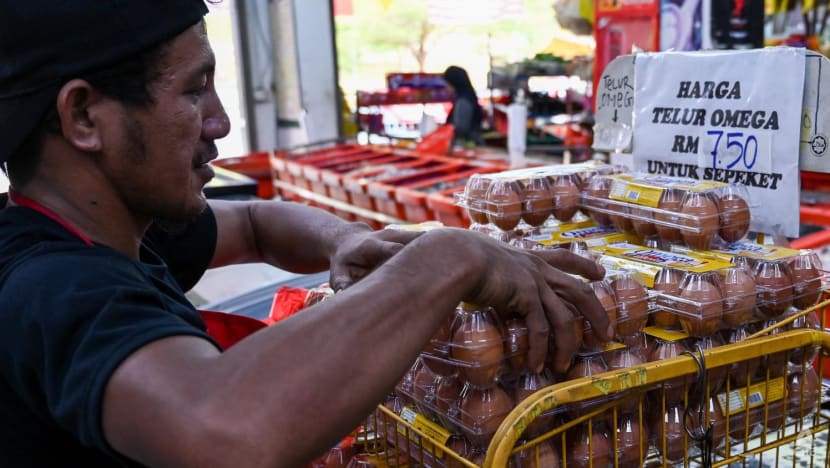 Imported eggs help alleviate local shortage in Malaysia, says agriculture minister