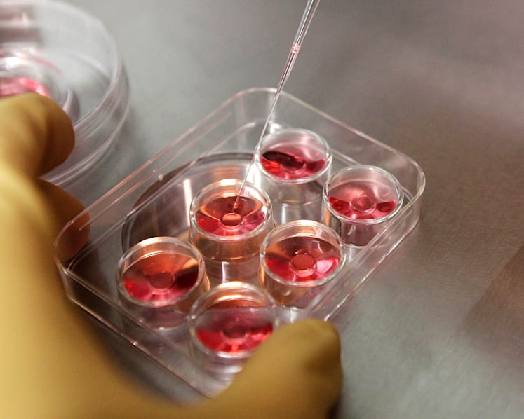 If Singapore allows social egg freezing, here are some issues that should be addressed