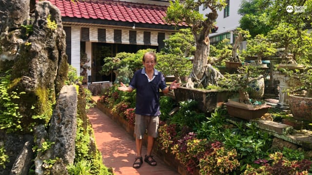 艺术家花40年培育收藏盆栽 今家中摆放逾300盆栽宛如盆景大花园