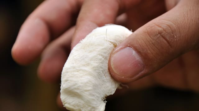 每周精选：新一代师傅透过活动 让人重新认识传统糖果