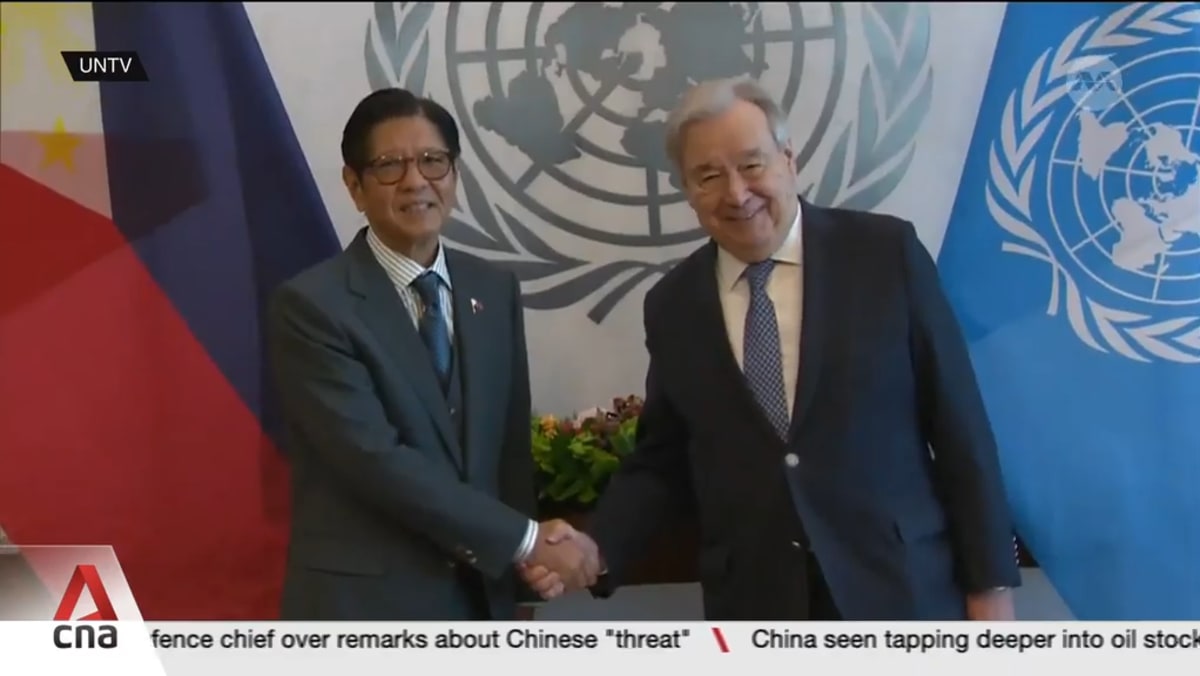 Philippines' UN Security Council bid could amplify ASEAN voice on global issues: Analysts